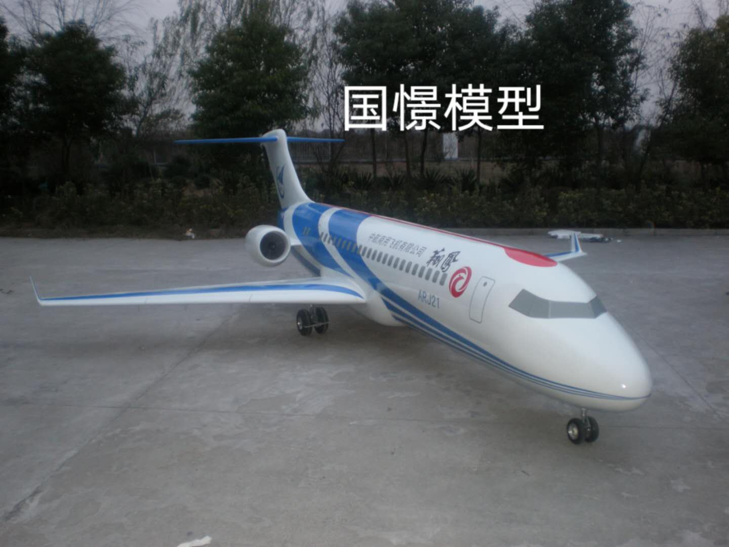 依安县飞机模型