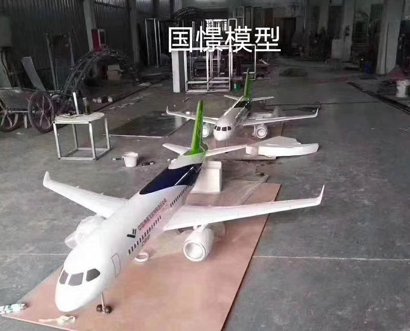 依安县飞机模型