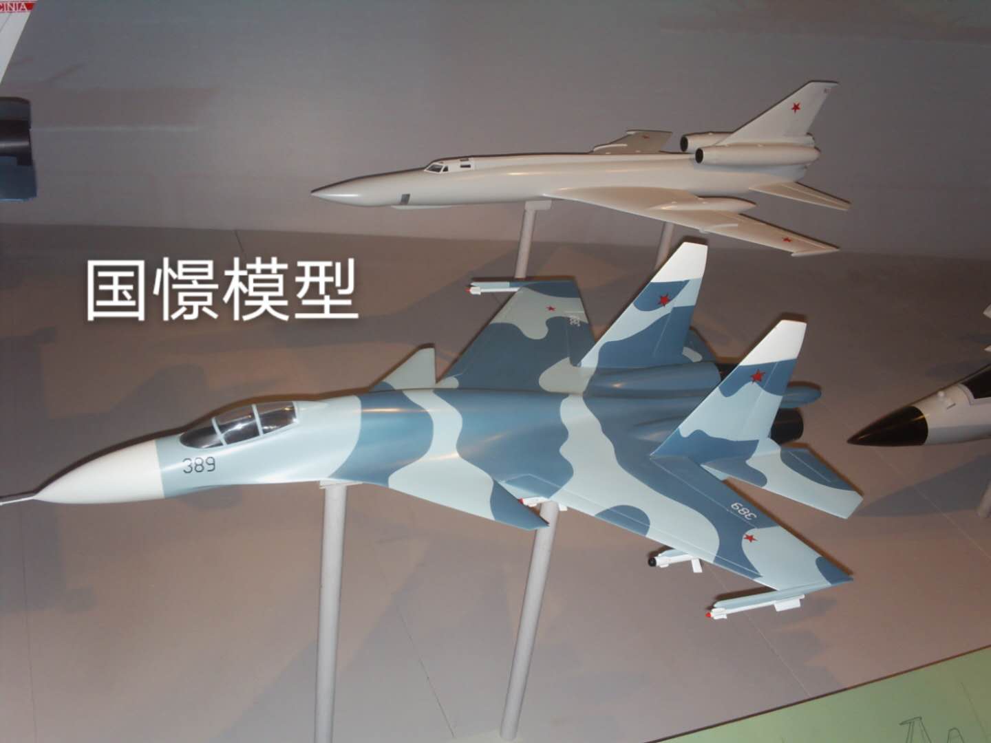 依安县军事模型