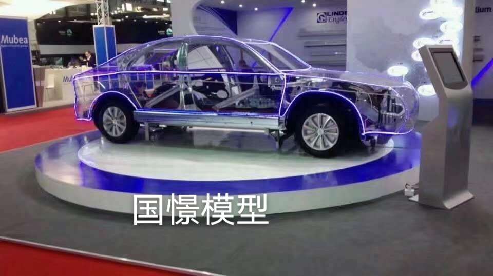 依安县透明车模型